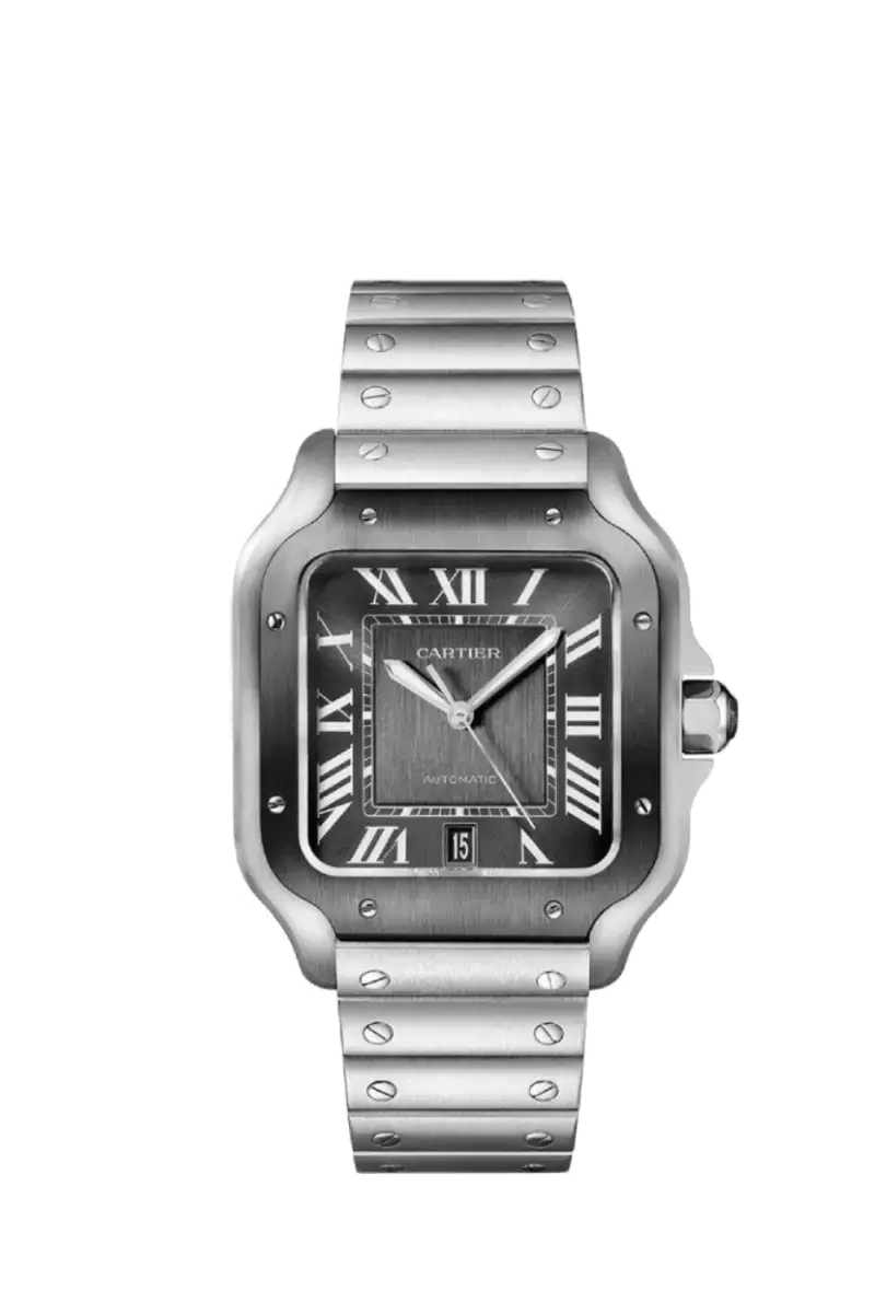 Cartier Santos Grey - WatchKings&Co